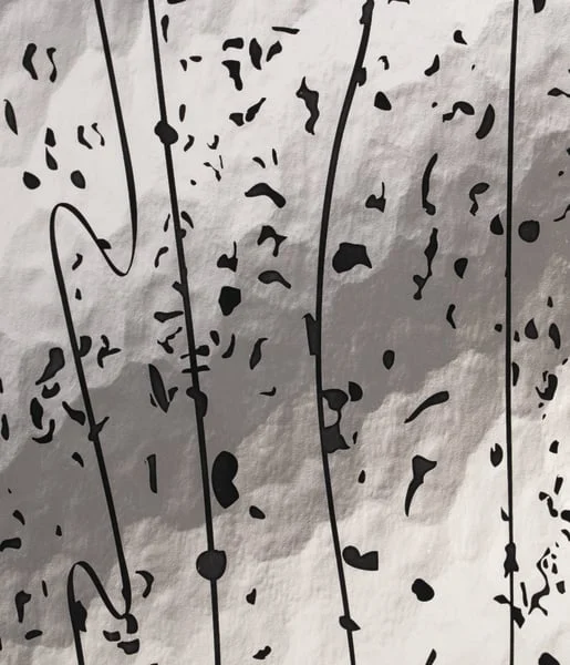 textured-glass-with-black-ceramic-frit