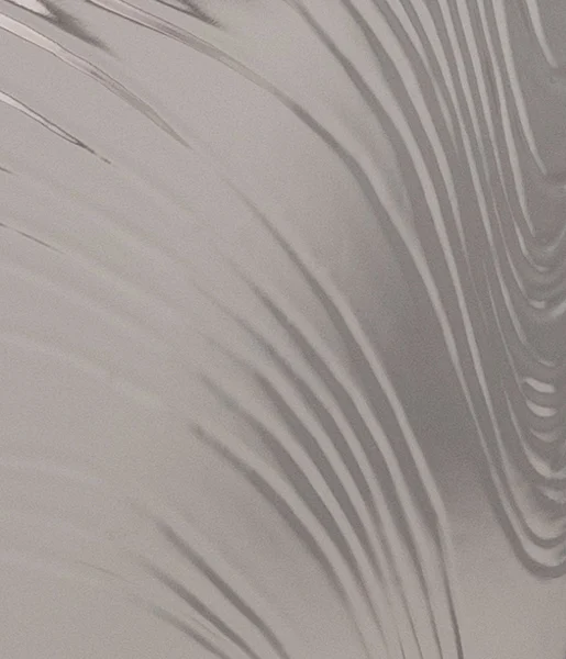 textured-enclosed-in-glass