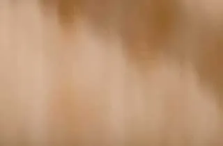 bronze-soft-wave