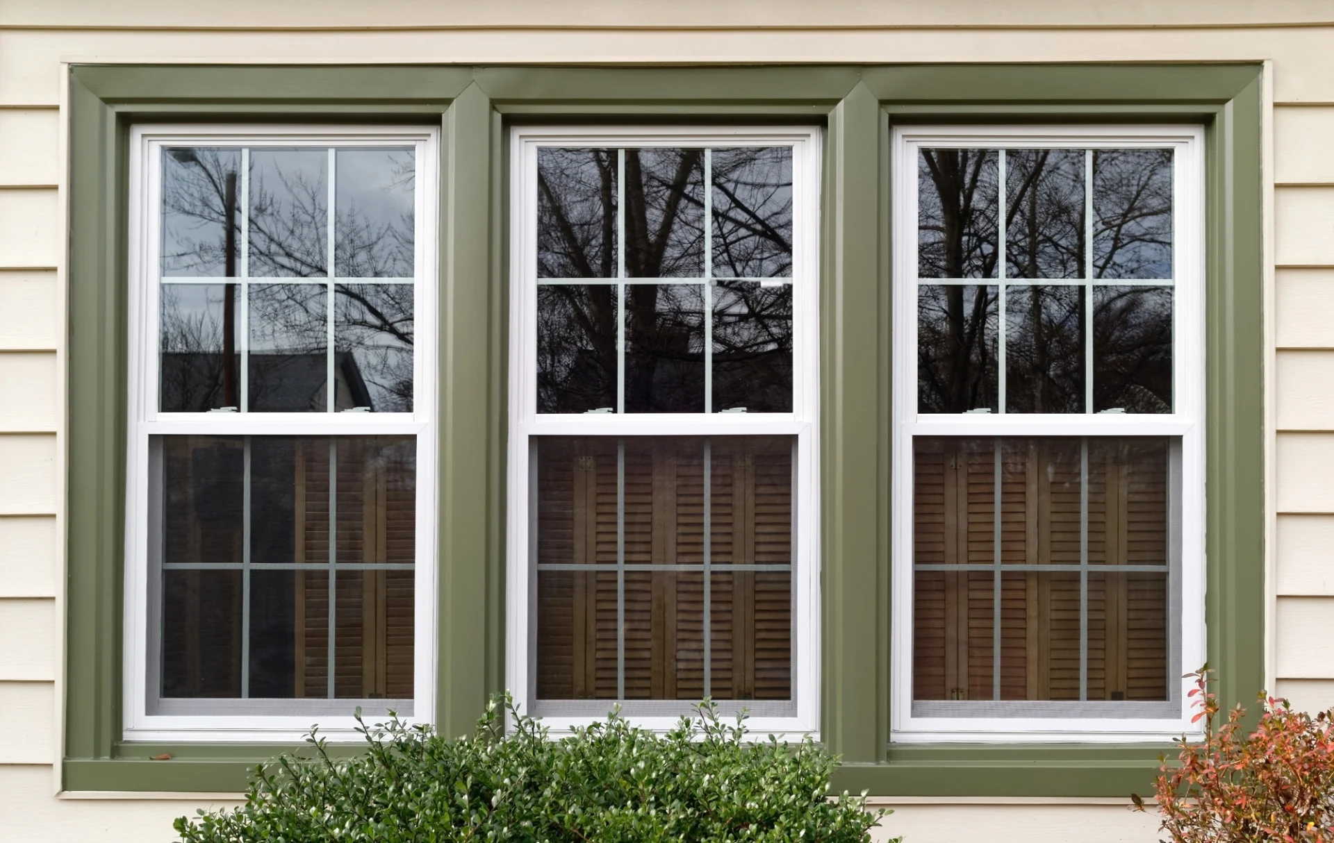 There are windows with green borders