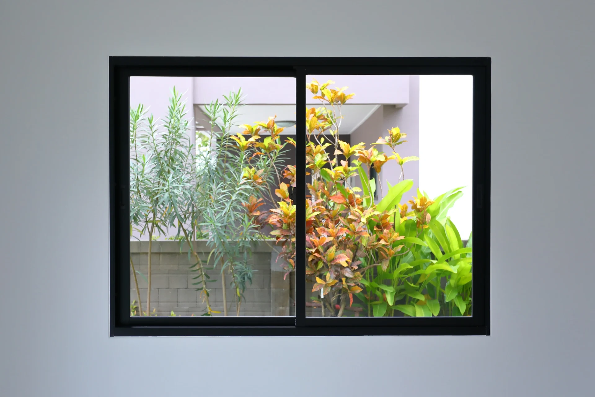 A window in a Riverside home with a sleek black frame. The window looks out into a lush tropical garden