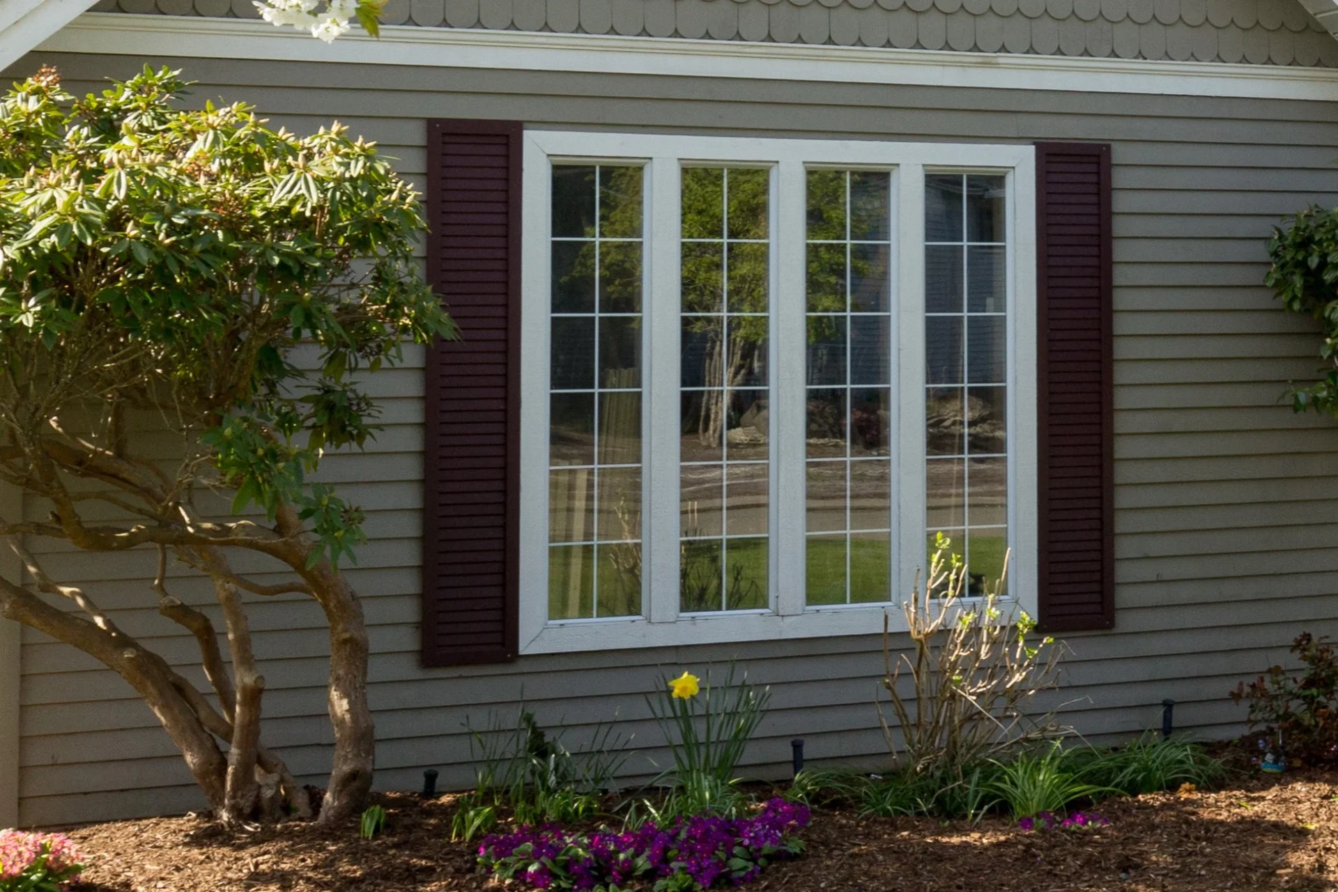 Energy Efficient Replacement Windows San Marco Fl Jacksonville Doors & Windows Spacious windows on front of house with brown-gray siding and red shutters