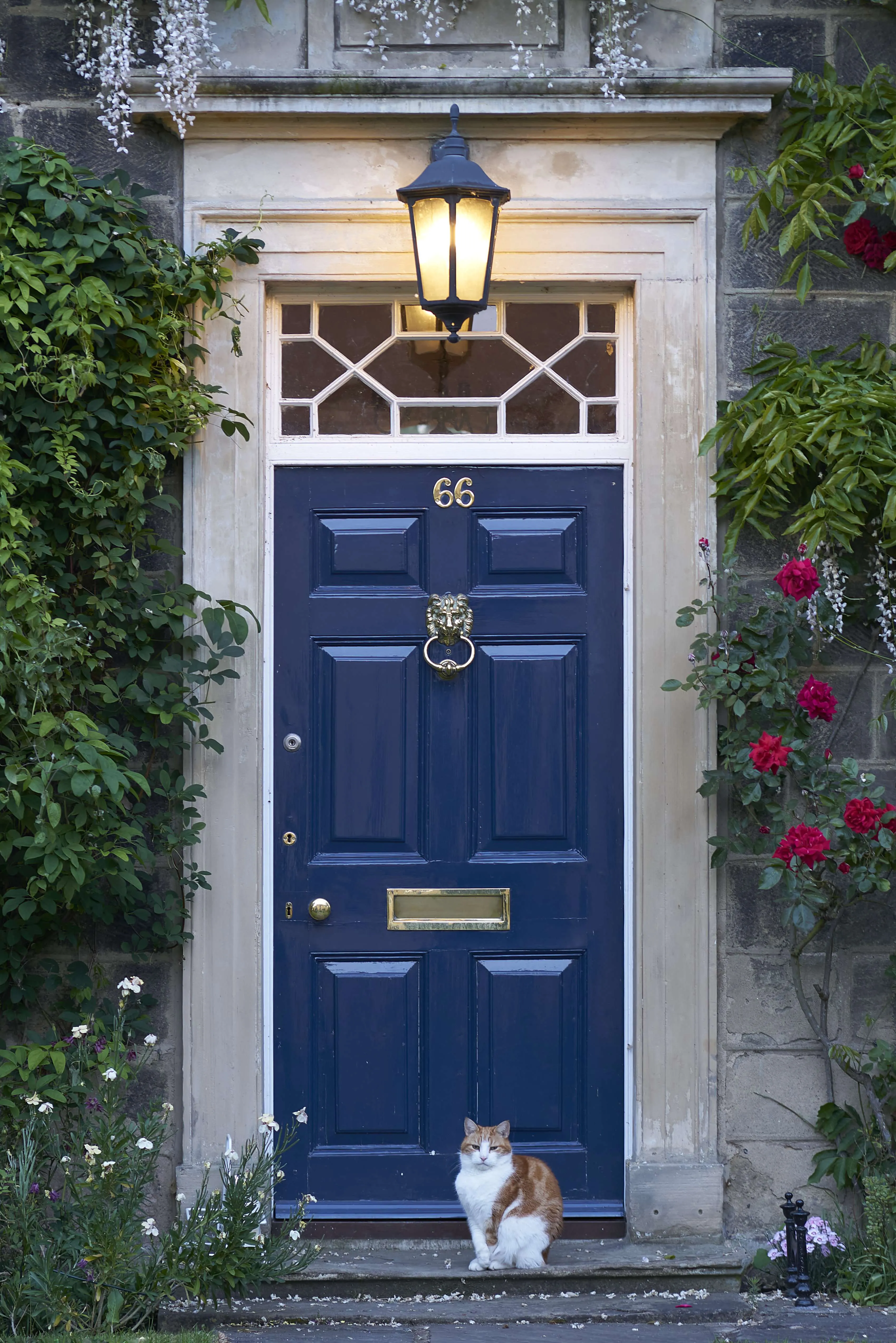 A beautiful blue entry door with a glass transom and a cat sitting on the front step.
