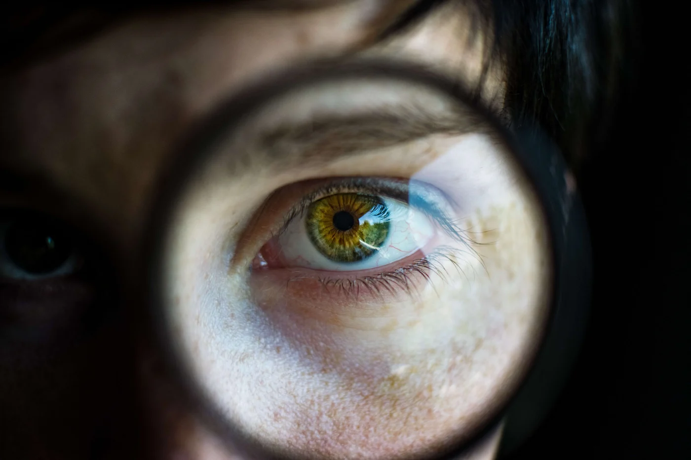 Laser-Focused Specialization | Windows & Doors | Jacksonville Doors & Windows A view of a person looking through a magnifying glass, signifying specialized focus on windows and doors from Jacksonville Doors & Windows.