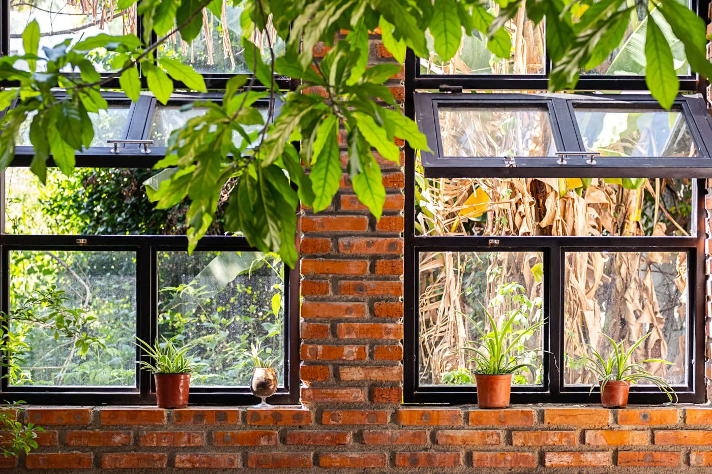 Quality Window Replacements in Vilano Beach, FL | Jacksonville Doors & Windows Black-framed windows installed in a brick house.