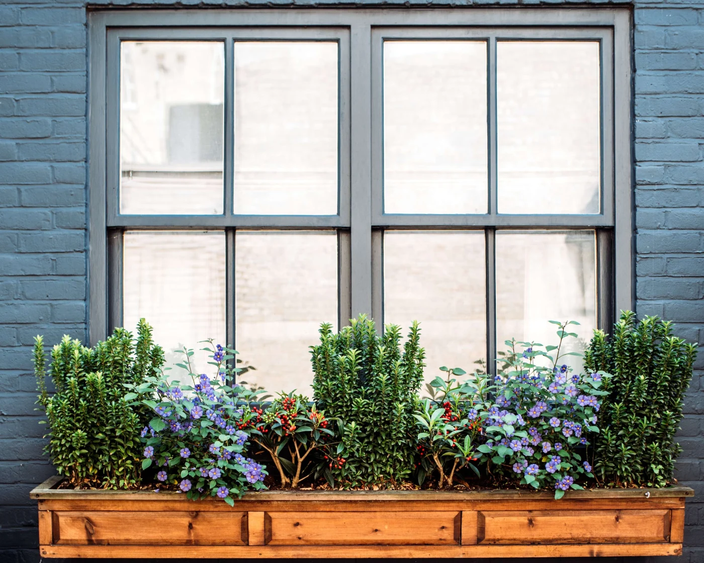 Beautiful Replacement Windows in Orange Park, FL | Jacksonville Doors & Windows New windows with gray frames and a flowerbox.
