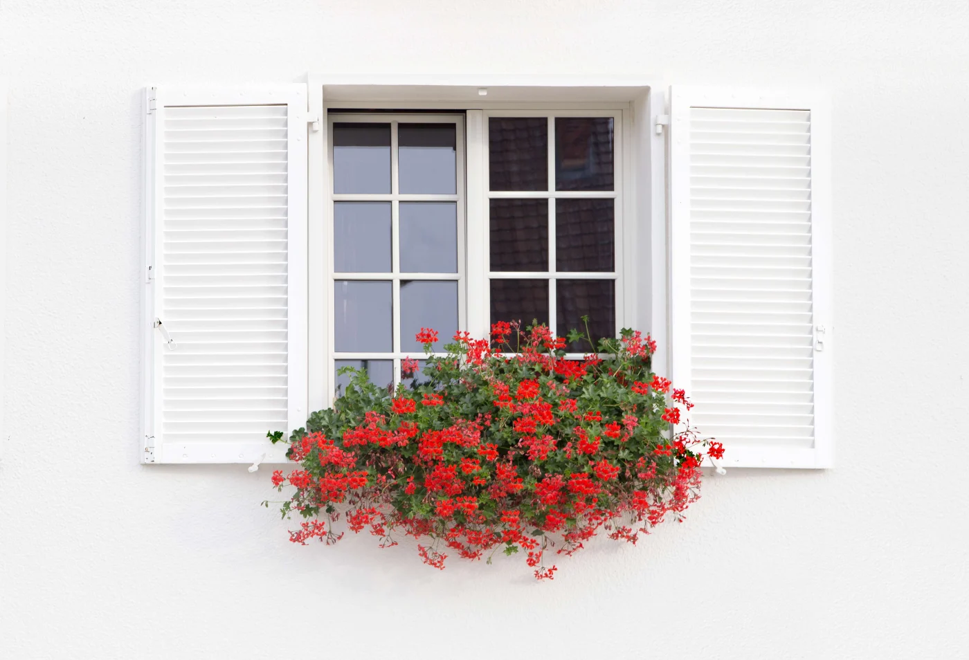 White Window And Flowers. White Window And Flowers.